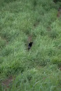 你問我什麼是自由?是七月底的武功山