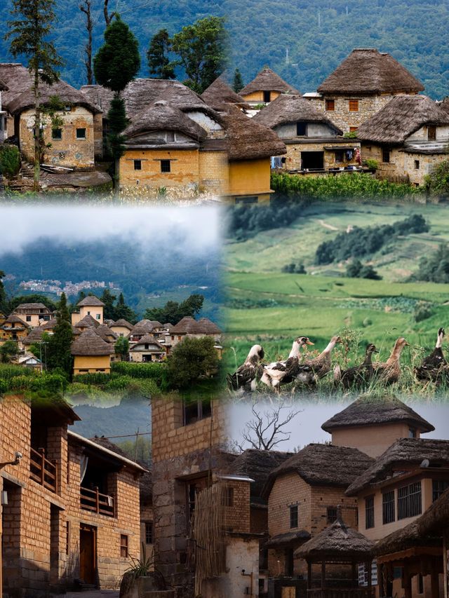 雲南冷門王炸!12月暖冬+馬幫古城+萬畝梯田|躺玩攻略 雲南冷門王炸!12月暖冬+馬幫古城+萬畝梯田|躺玩攻略