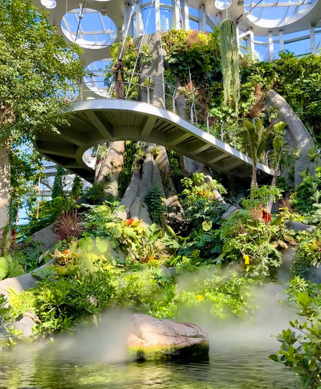 躲進城市雨林秘境