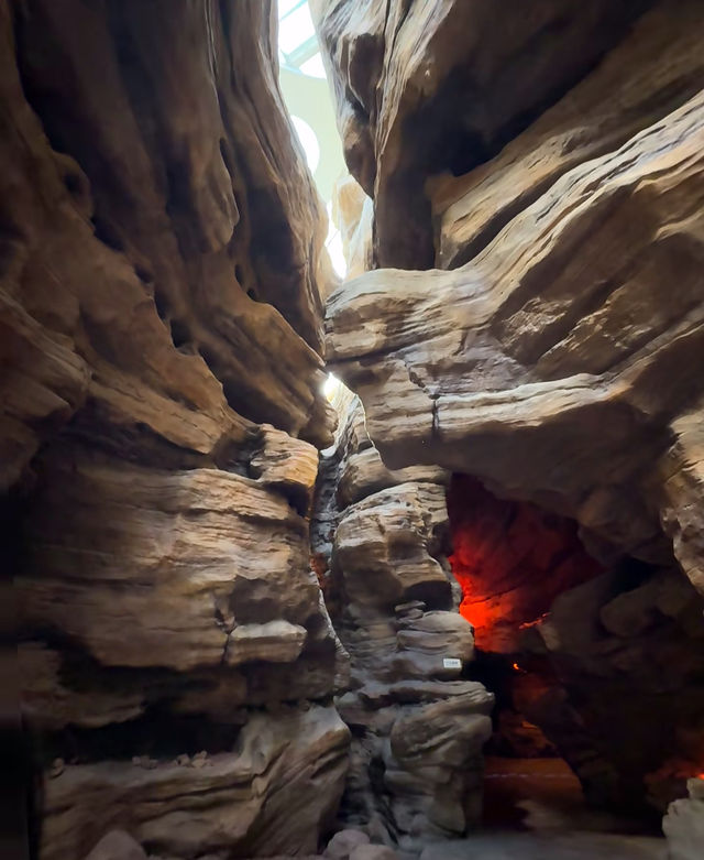 躲進城市雨林秘境