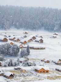 新疆冬季旅遊攻略雙湖8日巡禮