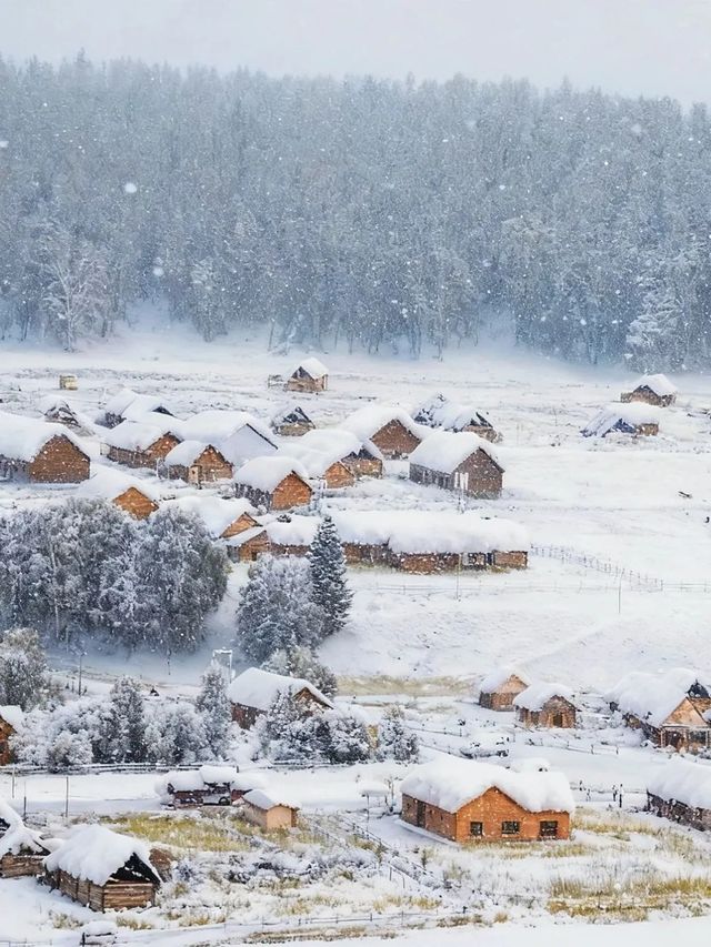 新疆冬季旅遊攻略雙湖8日巡禮