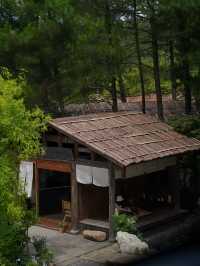 武夷山養巖山房:藏於松林的禪意棲居