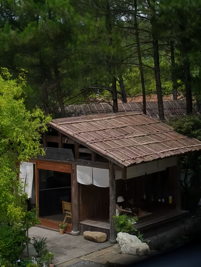 武夷山養巖山房:藏於松林的禪意棲居 武夷山養巖山房:藏於松林的禪意棲居