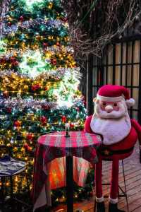 哈爾濱的冬日童話開篇了，這次入住的中央大街大公館1903酒店直接讓我穿越回沙俄時代！百年電梯叮咚