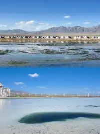 交換一張你在茶卡鹽湖的照片