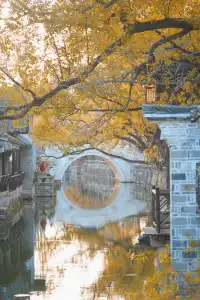 是何老師同款濮院！《嚮往》裡的秋日油畫江南！