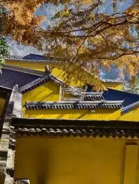 說走就走！九華山之旅