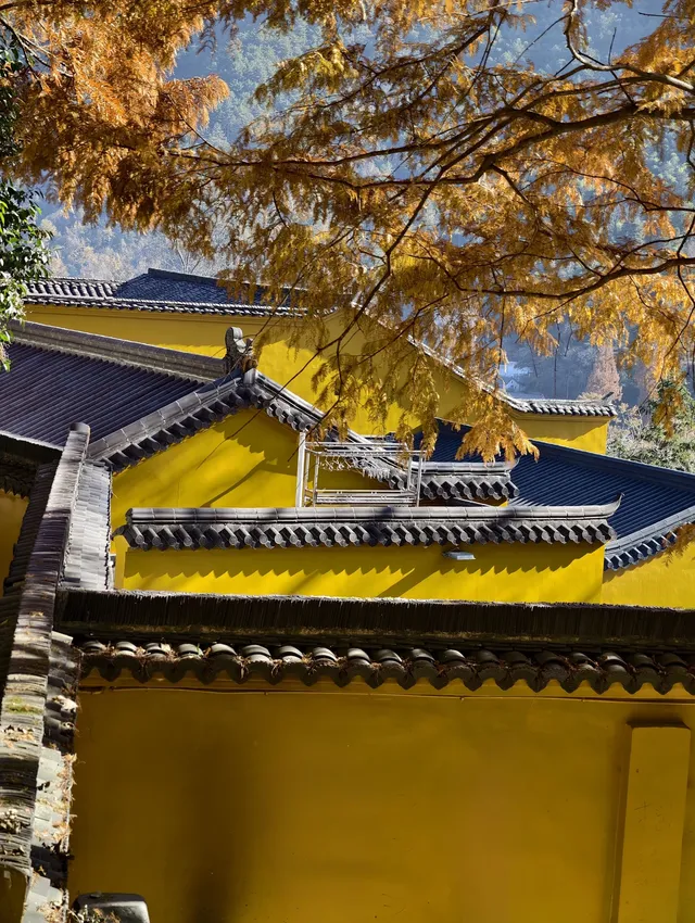 說走就走！九華山之旅