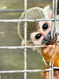 安吉奇幻嘉樂比|玩回本的隱藏方法被挖到了