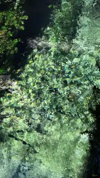 濟南五龍潭I live 這裡的泉水會“發光”