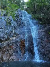 香港|大帽山郊野公園