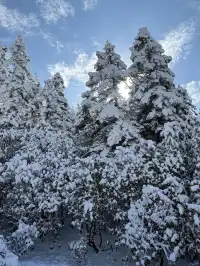 廣東高鐵1.5h直達！莽山霧淞不爬山攻略