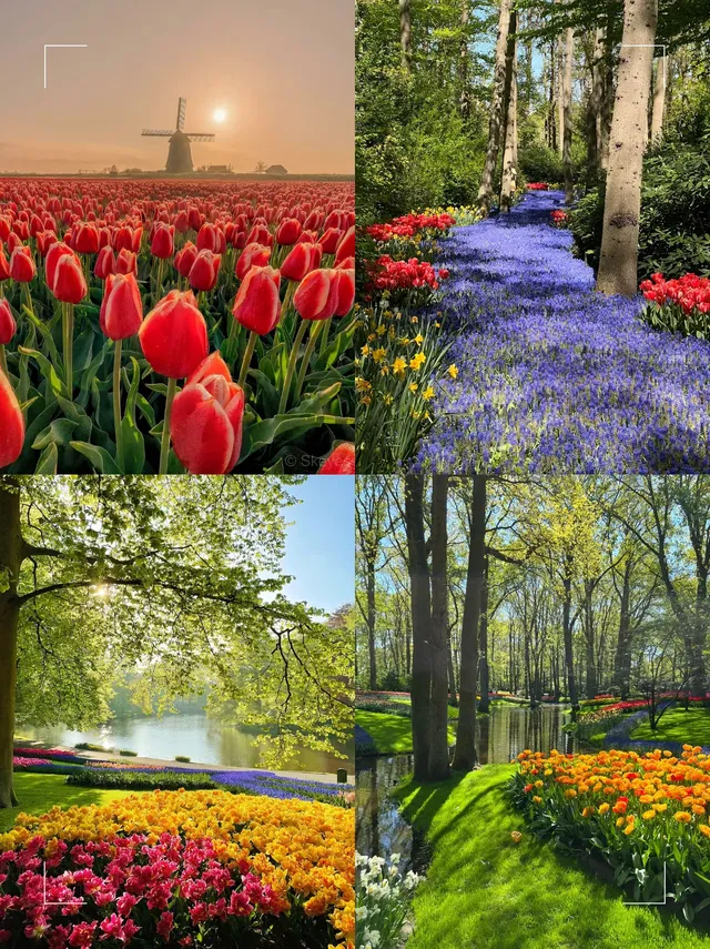 不卷法意瑞,選擇了20 天荷比盧德旅行 不卷法意瑞,選擇了20 天荷比盧德旅行