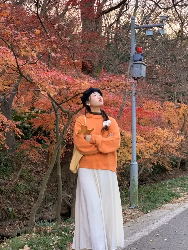 南京中山植物園紅楓崗|進入10日倒數! 南京中山植物園紅楓崗|進入10日倒數!