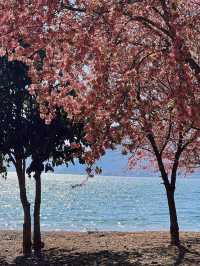 撫仙湖治癒之旅|發呆一下午,讓時間靜止在澄澈藍裡