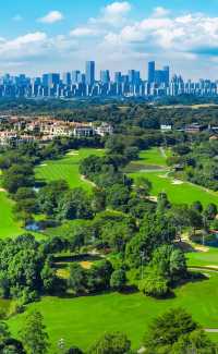 綠城南寧的晴天絕了