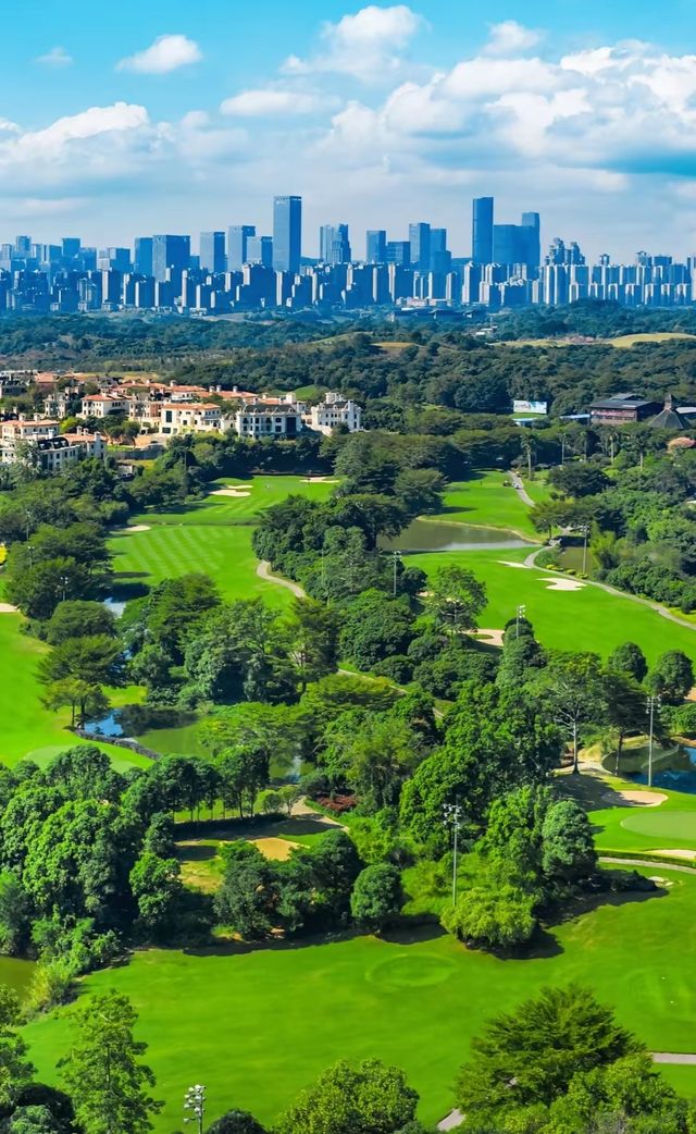 綠城南寧的晴天絕了 綠城南寧的晴天絕了