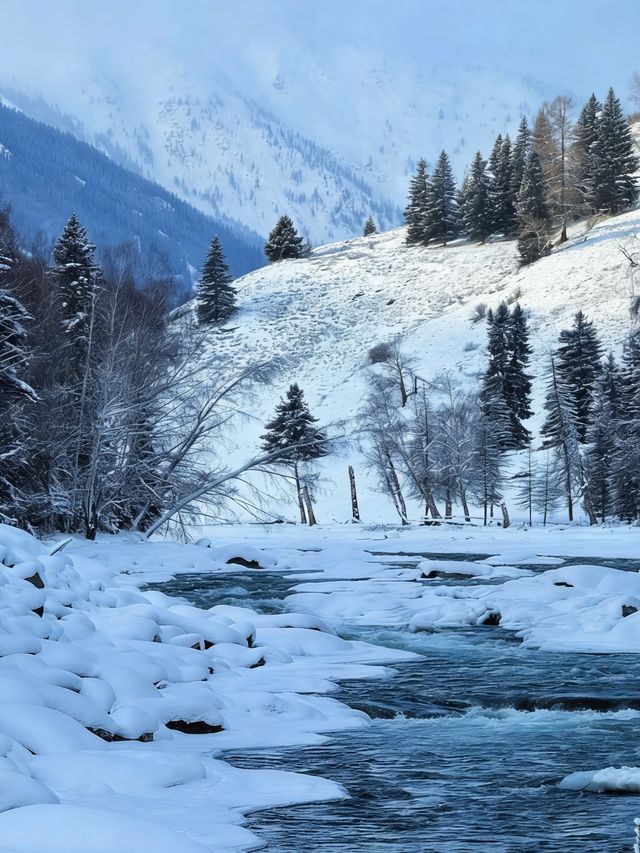 初冬喀納斯|雪域仙境裡的“人間淨土”深度之旅 初冬喀納斯|雪域仙境裡的“人間淨土”深度之旅