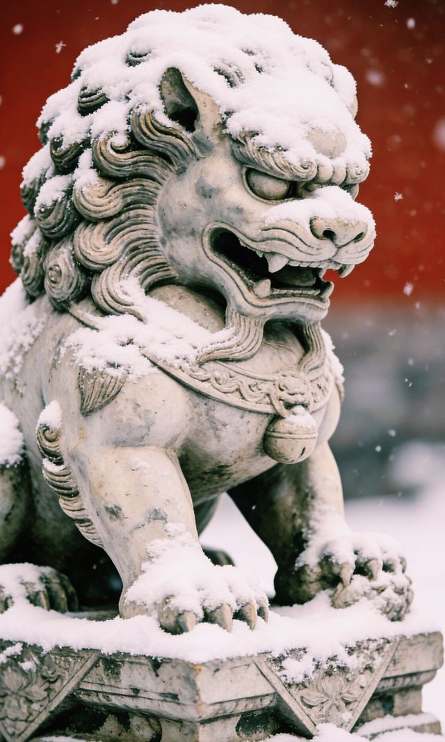 北京初雪故宮千年限定雪景!不要錯過 北京初雪故宮千年限定雪景!不要錯過