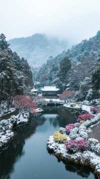 12月廬山三天兩晚，雲霧水墨輕奢行