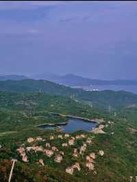 藏在深圳華僑城的慢生活天堂拍照打卡聖地!