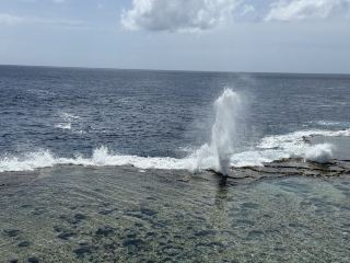 Mapu'a Vaea Blowholes