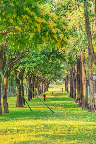 Spring Light Spreads Over Wenhua Asia Art, Snap Forest-Style Beautiful Photos Anytime
