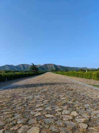 The only imperial tomb built during the prosperous Kaiyuan era of the Tang Dynasty
