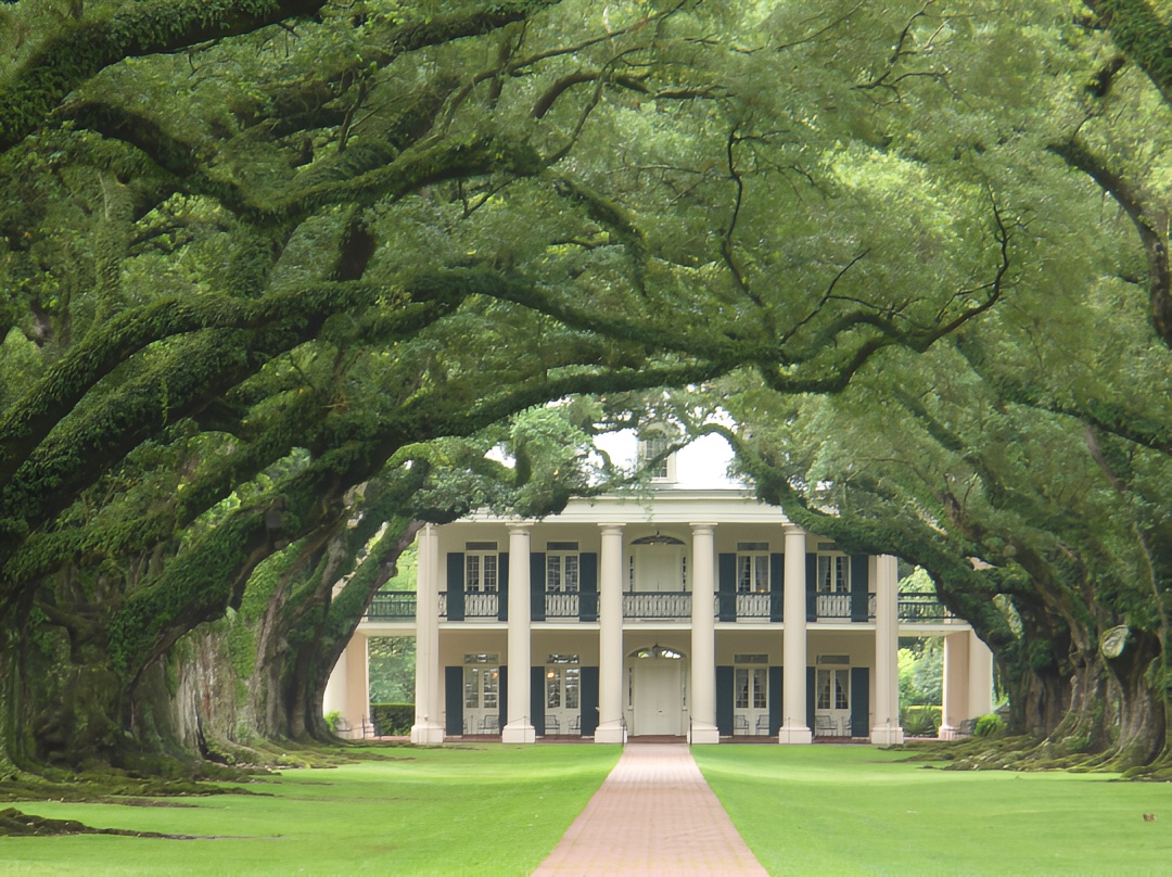 Oak Tree Manor: Louisiana's Romantic Hidden Gem