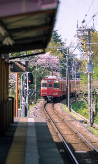 3-hour journey across snowy mountains and the sea! Mount Fuji × Izu's Fairy Road