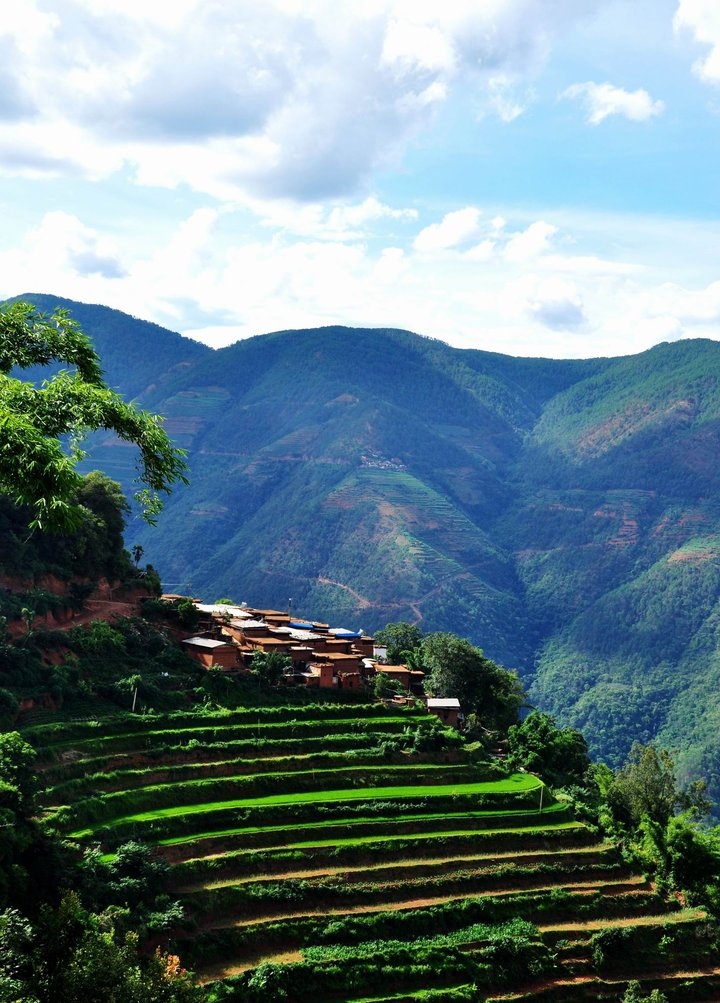 Summer in Yuanjiang, Yunnan is absolutely amazing! A comprehensive guide to off-the-beaten-path summer fruits.