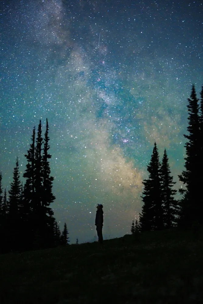 도보 필요 없음! 밴쿠버 별하늘 인물 사진 완전 정복