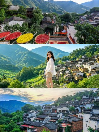 婺源篁岭｜古村の秋の収穫風景はまるで絵画のよう