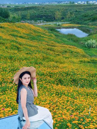 貴陽雲頂花海｜新疆同款仙境，1小時直達