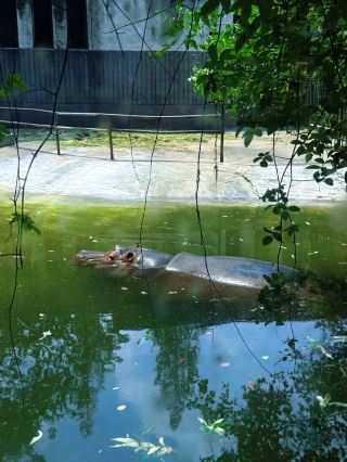 Chengdu Zoo is the best