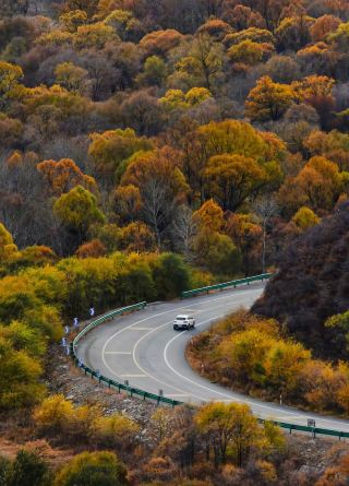 アル山2日間旅行ガイド｜失敗しない紅葉絶景ルート