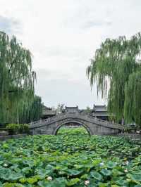 在保定住進古城庭院,一秒穿越清代衙門