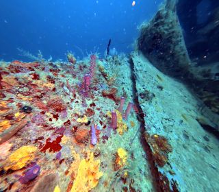 Outstanding Diving Experience with Professional Staff