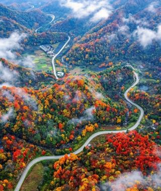 Xi'an → Liuba: 3-day National Day reverse-route mountain trip to chase autumn colors!