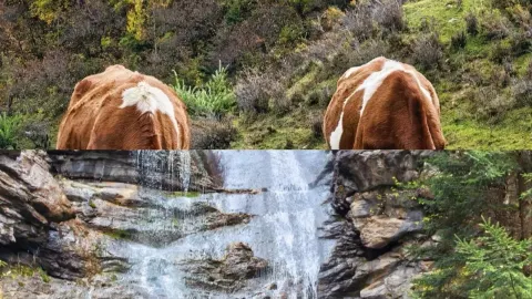 Hey everyone! Autumn in Luyashan is absolutely breathtaking! Today I'm sharing an amazing route with you all — traveler post in Wuzhai
