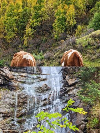 Hey everyone! Autumn in Luyashan is absolutely breathtaking! Today I'm sharing an amazing route with you all
