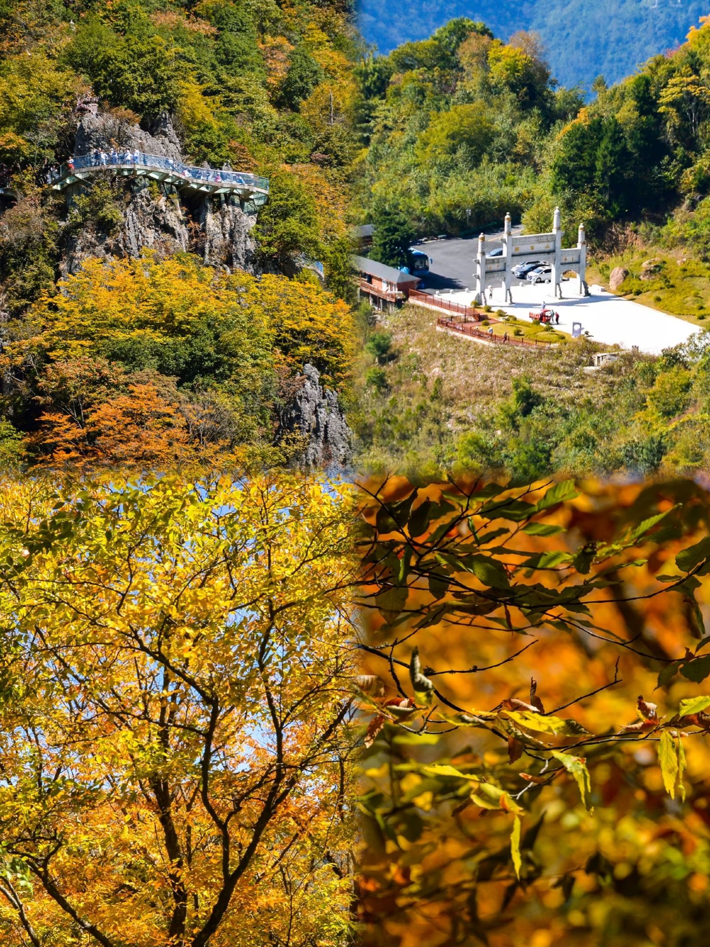 Spent four days in Ankang this autumn, and it was a smooth trip from start to finish