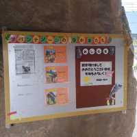 わかりやすい！大阪eco動物海洋専門学校　天王寺動物園
