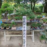栗林公園　花園亭　焼きたてみたらし団子