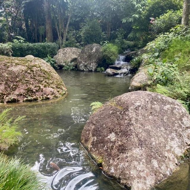 Japanese Garden 