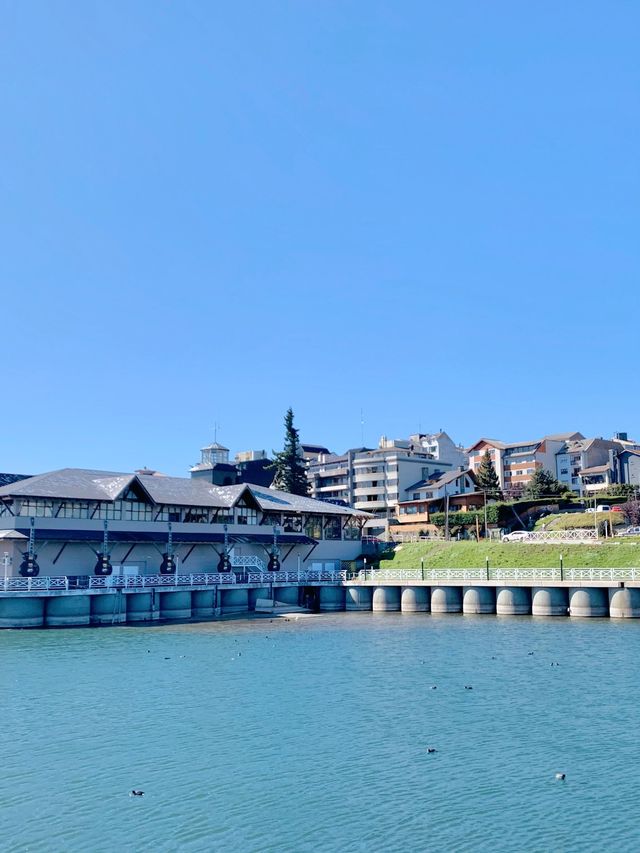 [아르헨티나🇦🇷]힐링 도시 바릴로체에서 쉼