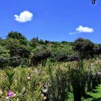 Paradise in our midst
