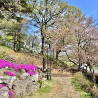 🧡의왕 백운호수 카페 - 명장시대🧡