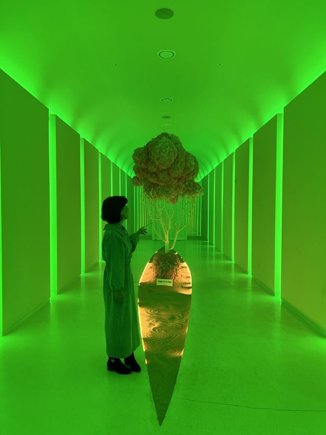 녹테마레_여기, 당신과 내가 빛나는 밤바다 위에 아무도 몰랐던 환상의 바다, 마레가 열립니다